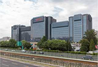 江苏喝领头牛哪里有